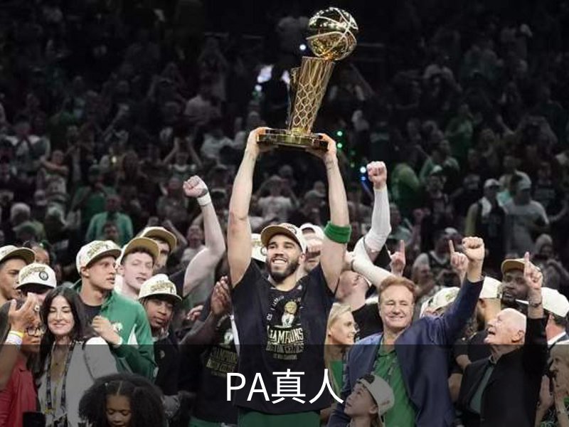 了解PA真人